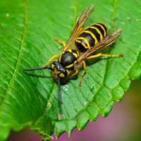 f47c42ae-screen-shot-2023-05-15-at-1-49-55-pm_105k05k000000000000000