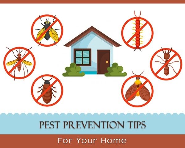 best prevention tips 