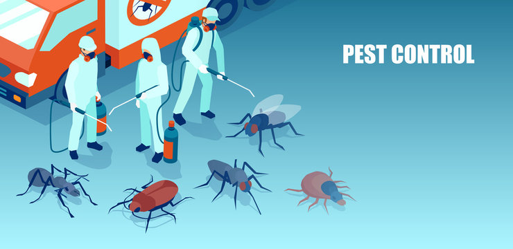 pest control methods 