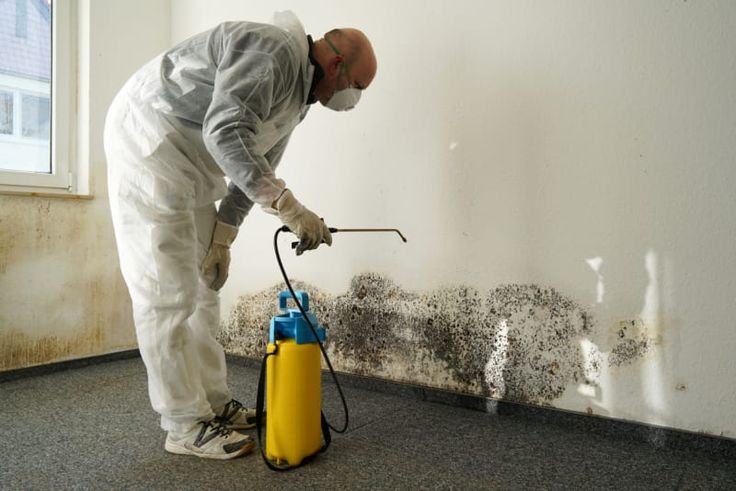 best pest control methods for homes