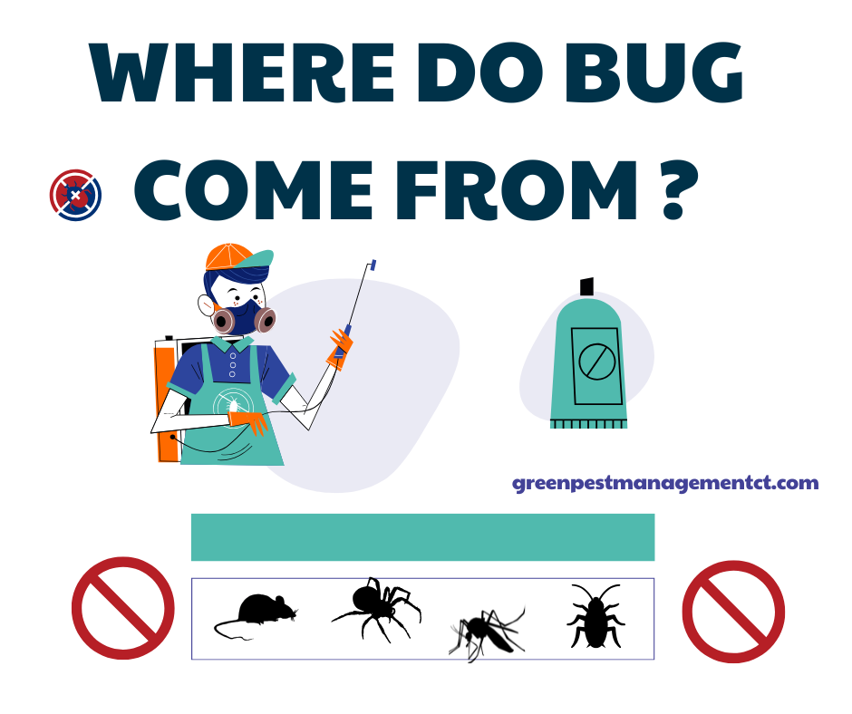 Where do Bugs come from ?