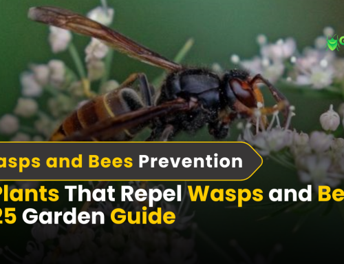 12 Powerful Plants That Repel Wasps and Bees | 2025 Ultimate Garden Guide