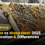 Bee Hive vs Wasp Nest 2025 Identification & Differences