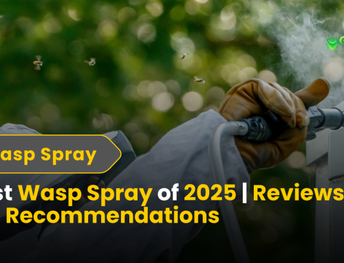 Best Wasp Spray of 2025 | Reviews & Pro Recommendations