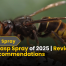 Best Wasp Spray of 2025 Reviews & Pro Recommendations
