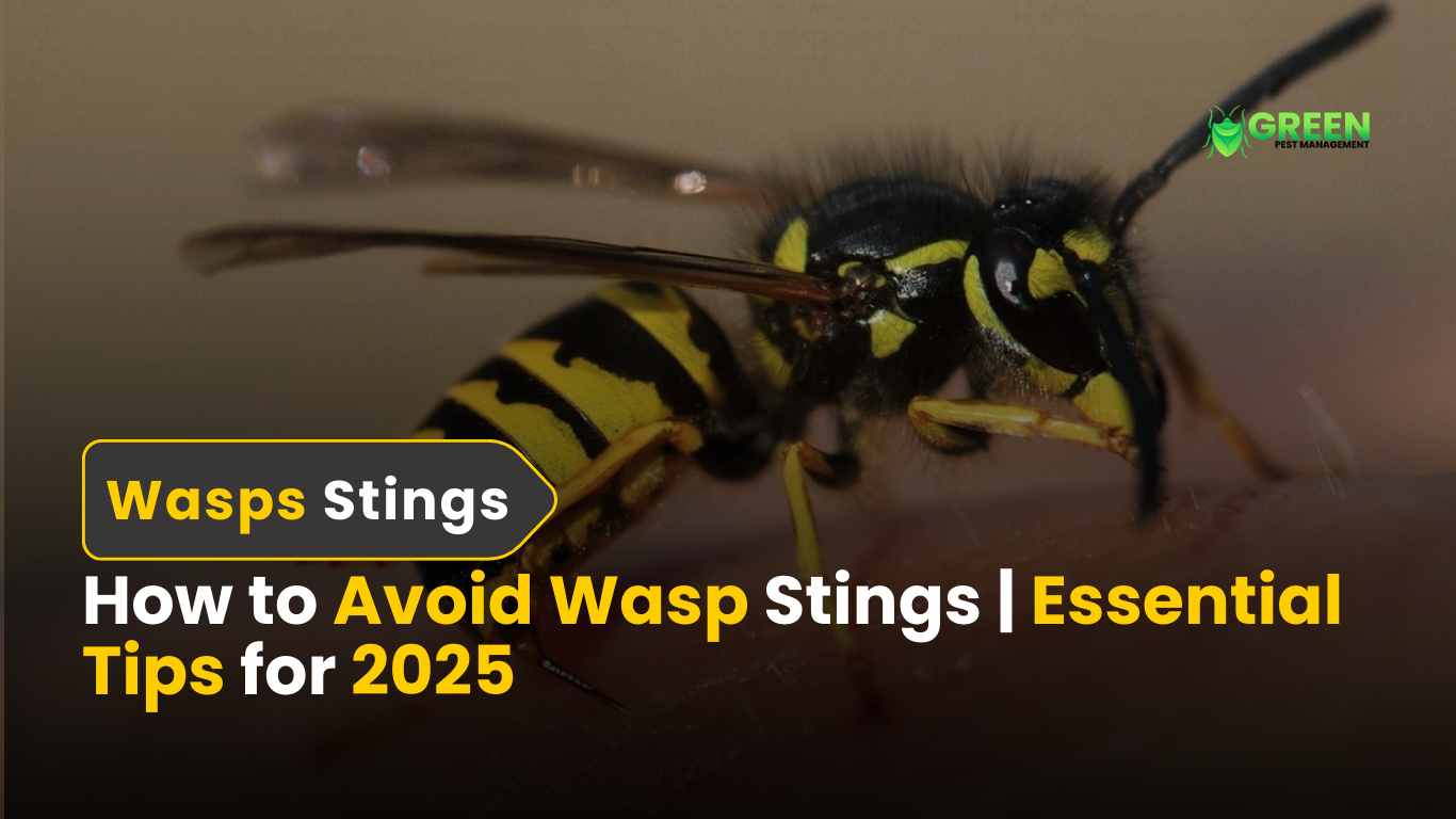 How to Avoid Wasp Stings Essential Tips for 2025