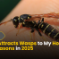 What Attracts Wasps to My House Top Reasons in 2025
