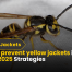 how to prevent yellow jackets in your yard in 2025