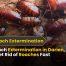Need cockroach extermination in Darien, CT? Green Pest Management offers safe, fast, eco-friendly roach control for homes and businesses.