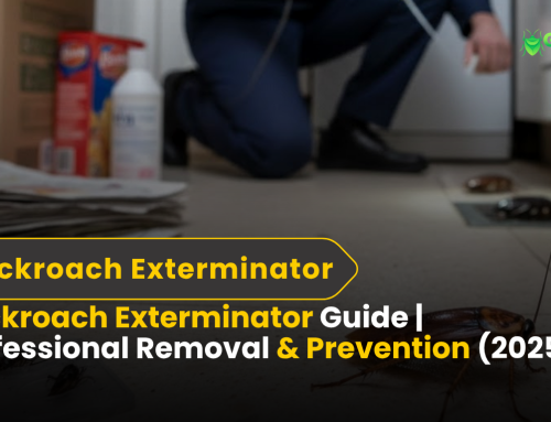 Mice Exterminator Services | Your Complete Guide to Professional Removal (2025) 2 Cockroach Exterminator Guide | Professional Removal & Prevention (2025)