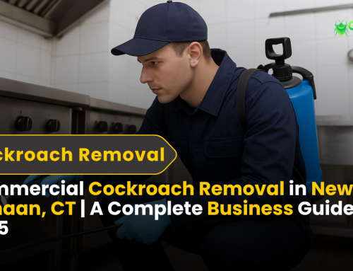 Commercial Cockroach Removal in New Canaan, CT: A Complete Business Guide 2025
