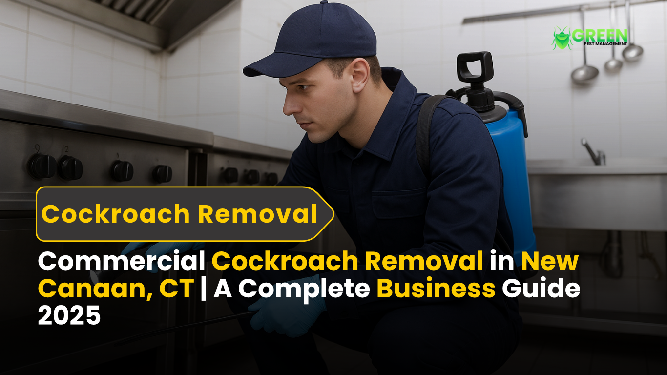 Commercial Cockroach Removal in New Canaan, CT A Complete Business Guide 2025