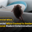 Commercial Mice Control in Darien, CT Professional Rodent Extermination in 2025