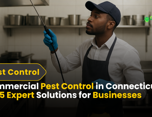 Effective Commercial Pest Control in Connecticut | 2025 Experts