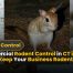 Trusted Commercial Rodent Control in CT: Keep Your Business Safe in 2025