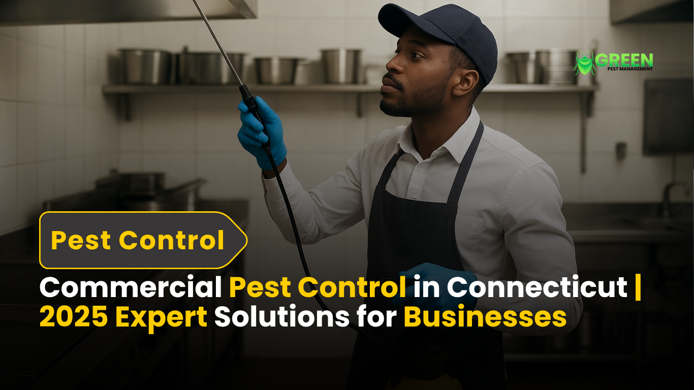 Commercial Pest Control in Connecticut 2025 Expert Solutions for Businesses