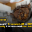 Fly Removal in Greenwich, CT in 2025 Fast, Eco-Friendly & Guaranteed Pest Solutions