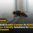 Fly Removal in New Canaan in 2025 Fast, Safe & Eco-Friendly Solutions for Homes and Businesses