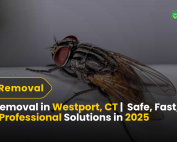 Good Lawn Maintenance with Pest Control 4 Fly Removal in Westport, CT Safe, Fast, and Professional Solutions in 2025
