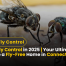 Easy, Eco-Friendly Fly Control for Connecticut Residents | Transform Your Home in 2025 8 House Fly Control in 2025 Your Ultimate Guide to a Fly-Free Home in Connecticut
