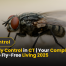 House Fly Control in CT | Eliminate Dirty, Disease-Carrying Flies Fast 2025 11 House Fly Control in CT Your Complete Guide to Fly-Free Living 2025.