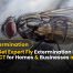 How to Get Expert Fly Extermination in Darien, CT for Homes & Businesses in 2025