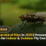 How to Get Rid of Flies in 2025 | Proven Methods for Indoor & Outdoor Fly Control in CT 10 How to Get Rid of Flies in 2025 Proven Methods for Indoor & Outdoor Fly Control in CT