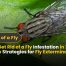 How to Get Rid of a Fly Infestation in 2025 Effective Strategies for Fly Extermination
