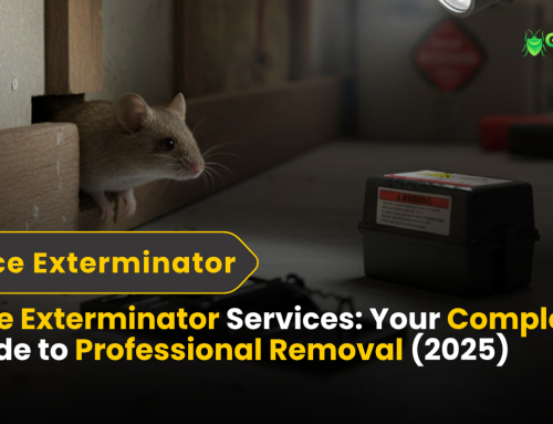 Cockroach Exterminator Guide | Professional Removal & Prevention (2025) 2 Mice Exterminator Services | Your Complete Guide to Professional Removal (2025)