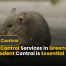 Rodent Control Services in Greenwich, CT Why Rodent Control is Essential