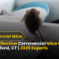 Safe & Effective Commercial Mice Control in Stamford, CT | 2025 Experts