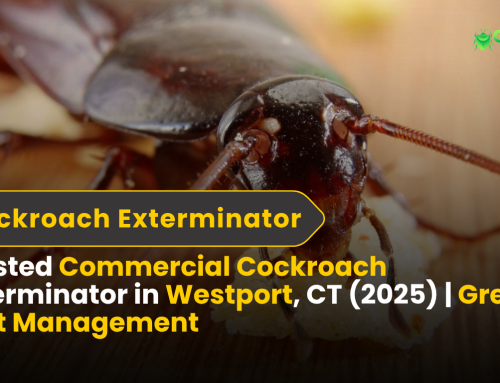 Trusted Commercial Cockroach Exterminator in Westport, CT (2025)