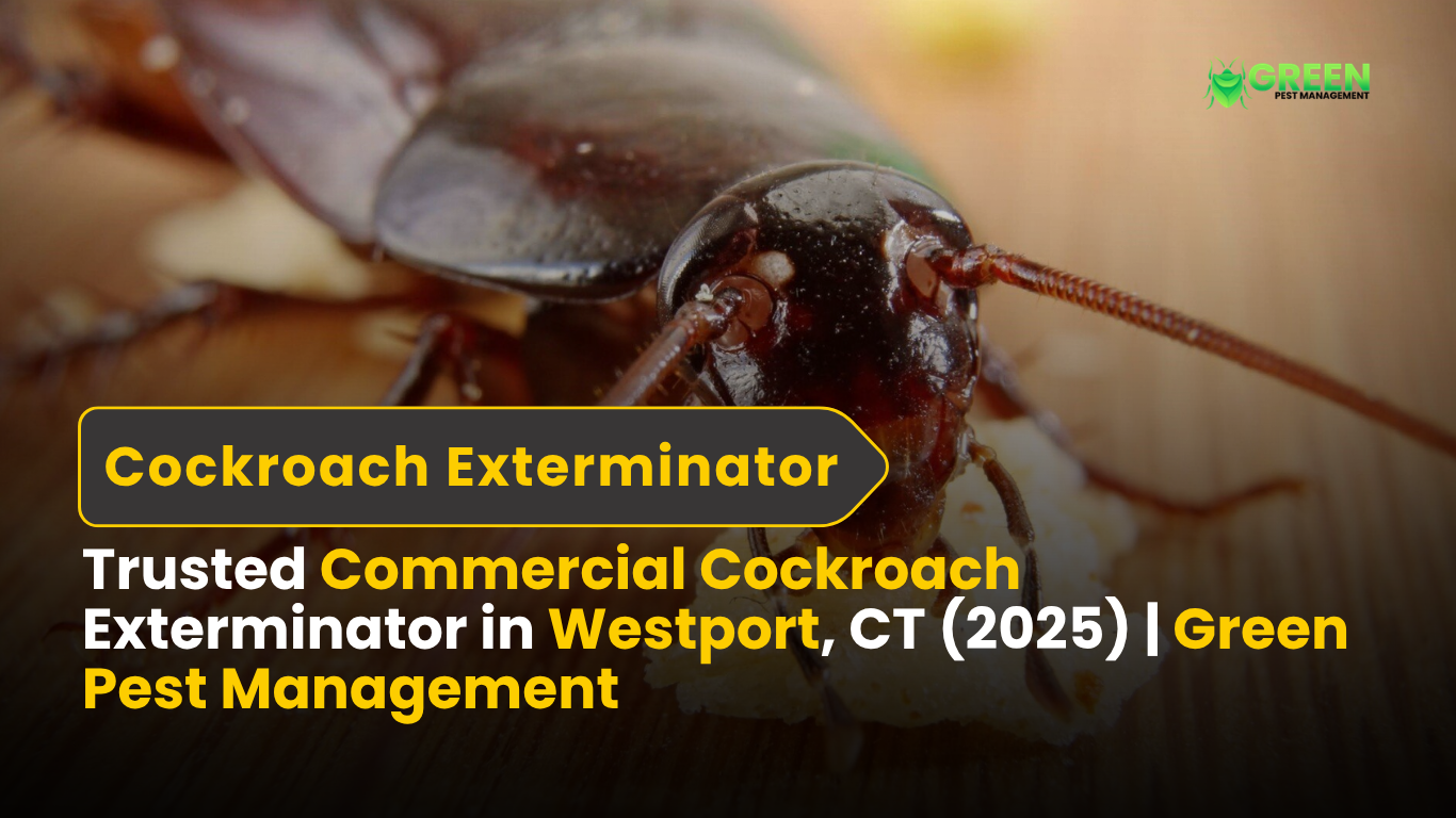 Trusted Commercial Cockroach Exterminator in Westport, CT (2025) Green Pest Management