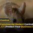 Trusted Commercial Rodent Control in New Canaan, CT Protect Your Business in 2025