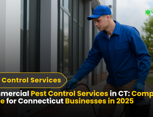 Commercial Pest Control Services in CT: Complete Guide for Connecticut Businesses in 2025