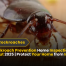 Expert Cockroach Prevention Home Inspection Connecticut 2025 | Protect Your Home from Infestations 9 Expert Cockroach Prevention Home Inspection Connecticut 2025 Protect Your Home from Infestations