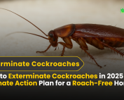 How to Get rid of Ants 5 How to Exterminate Cockroaches in 2025 The Ultimate Action Plan for a Roach-Free Home