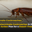 How to Exterminate Cockroaches in 2025 | The Ultimate Action Plan for a Roach-Free Home 8 How to Exterminate Cockroaches in 2025 The Ultimate Action Plan for a Roach-Free Home