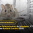 Top Mouse Exterminators in Westport, CT Services for Effective Rodent Control 2025