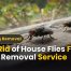 Get Rid of House Flies Fast 247 Removal Service