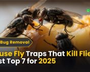 How do IPM programs work? 4 House Fly Traps That Kill Flies Fast (Top 7 for 2025)