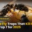 House Fly Traps That Kill Flies Fast (Top 7 for 2025)