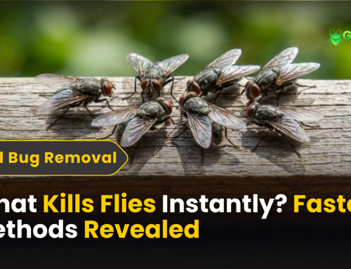 What Kills Flies Instantly? Fastest Methods Revealed Best Products & Methods Reviewed