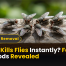 What Kills Flies Instantly? Fastest Methods Revealed