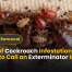 Signs of Cockroach Infestation | When to Call an Exterminator in 2025