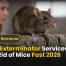 Mice Exterminator Services Get Best Rid of Mice Fast 2026