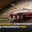 Best Cockroach Exterminator Near Me Stop Infestations Fast