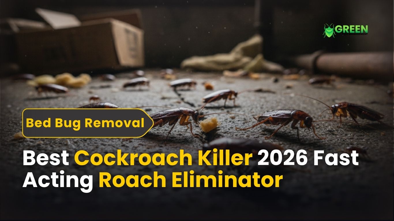 Best Cockroach Killer 2026 Fast Acting Roach Eliminator