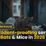 Best Rodent-proofing services Block Rats & Mice in 2026