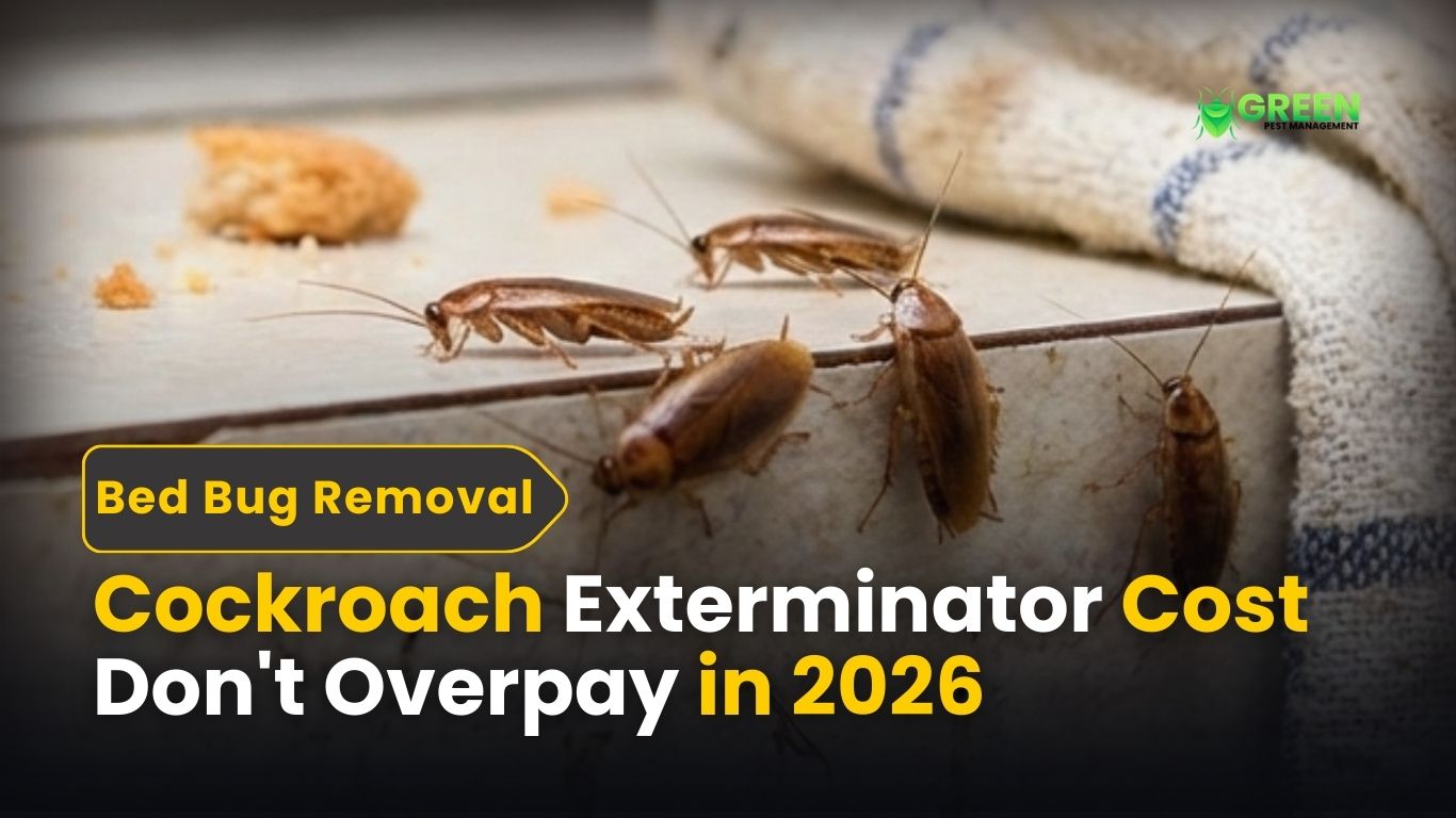 Cockroach Exterminator Cost Don't Overpay in 2026